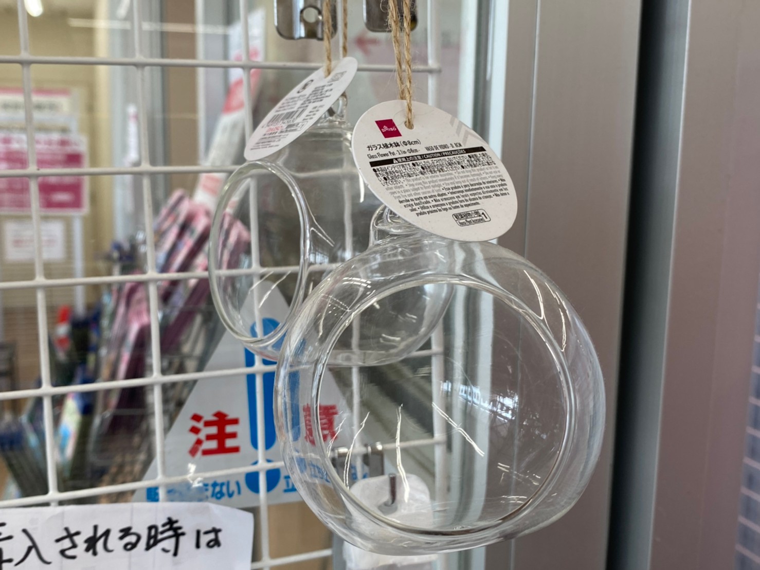 テラリウム用品『容器』の入手方法と値段｜手軽に始める苔テラリウム