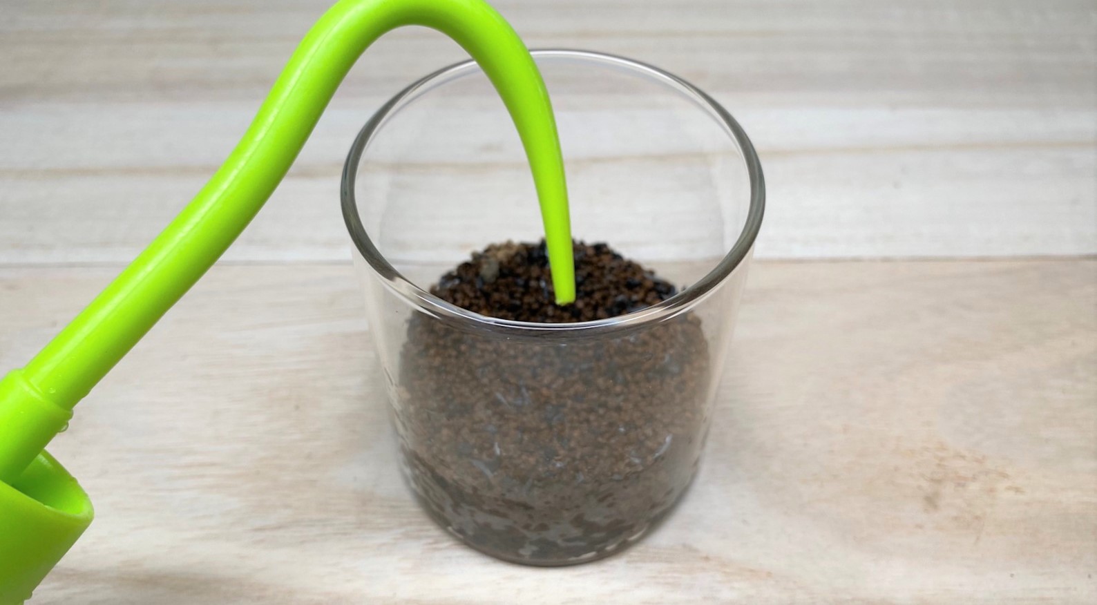 苔テラリウムの作り方 No 1 ヒノキゴケ コツボゴケ ホソバオキナゴケ 石 手軽に始める苔テラリウム