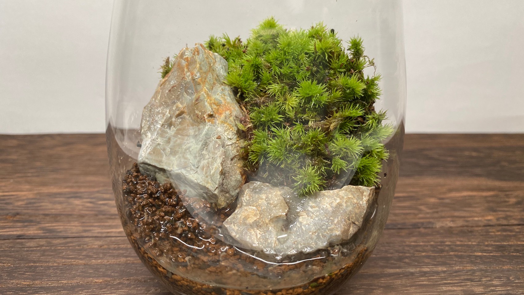 苔テラリウムの作り方 No 5 ホウオウゴケ ホソバオキナゴケ 石 手軽に始める苔テラリウム 苔テラリウムの作り方 No 5 ホウオウゴケ ホソバオキナゴケ 石 手軽に始める苔テラリウム