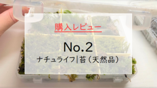 購入レビュー『No.2｜ナチュライフ・苔（天然品）』